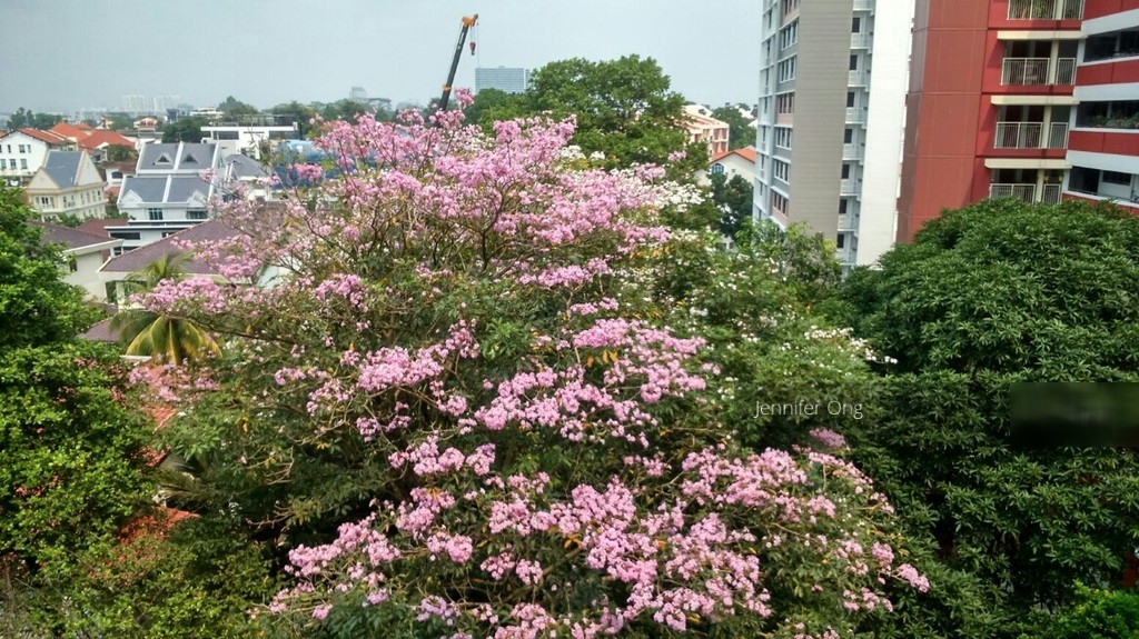 Blk 3 Toh Yi Drive (Bukit Timah), HDB Executive #129963732